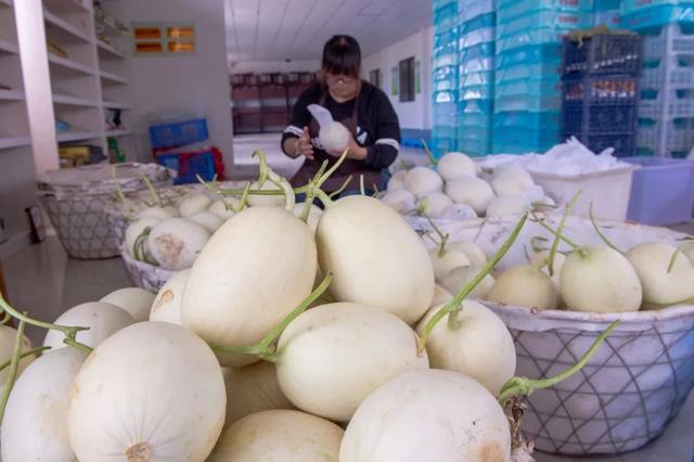 浦東開具首張食用農產品合格證，二維碼溯源體系助推全區年內實現全覆蓋