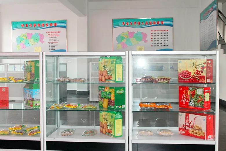 “十百千”專欄 中國食用菌工廠化生產第一縣走出鄉村振興的富民路
