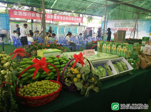守護舌尖安全，助力鄉村振興——50多家企業承諾“不安全不上市”彰顯責任擔當